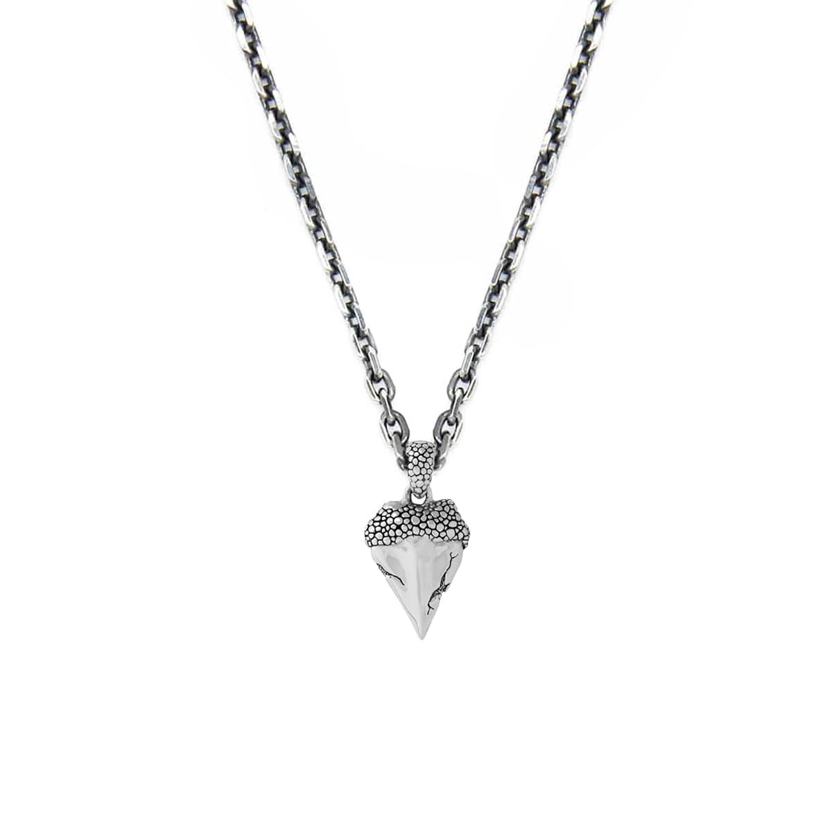 Collier homme dent de requin argent