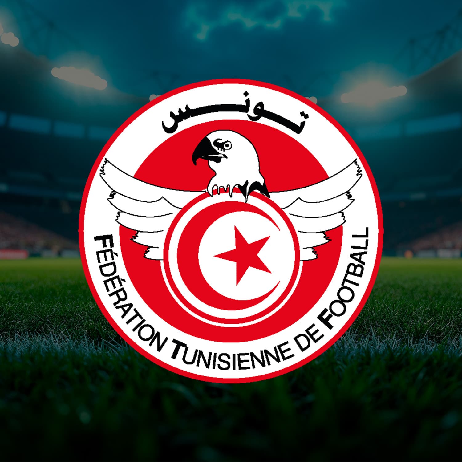 Sticker Autocollant Emblème Football pour Casque Moto