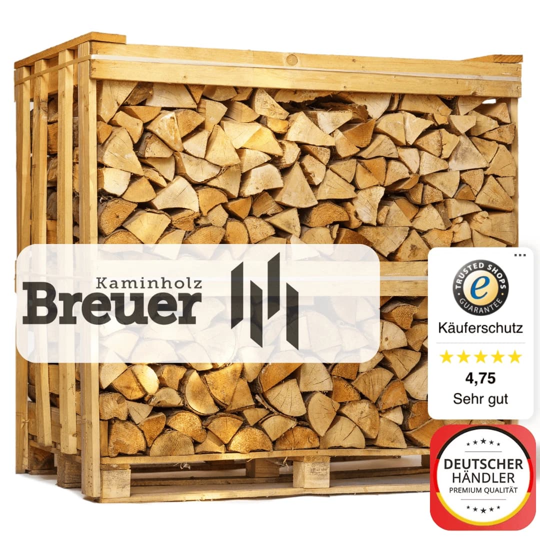 1 RM PREMIUM Buchen Brennholz | 25cm | kammergetrocknet | auf Palette | 500kg |