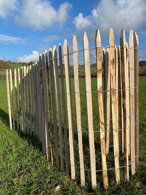 Ganivelle en châtaignier sciée 1,50 m – Écart 4/5 cm – Rouleau 10 m