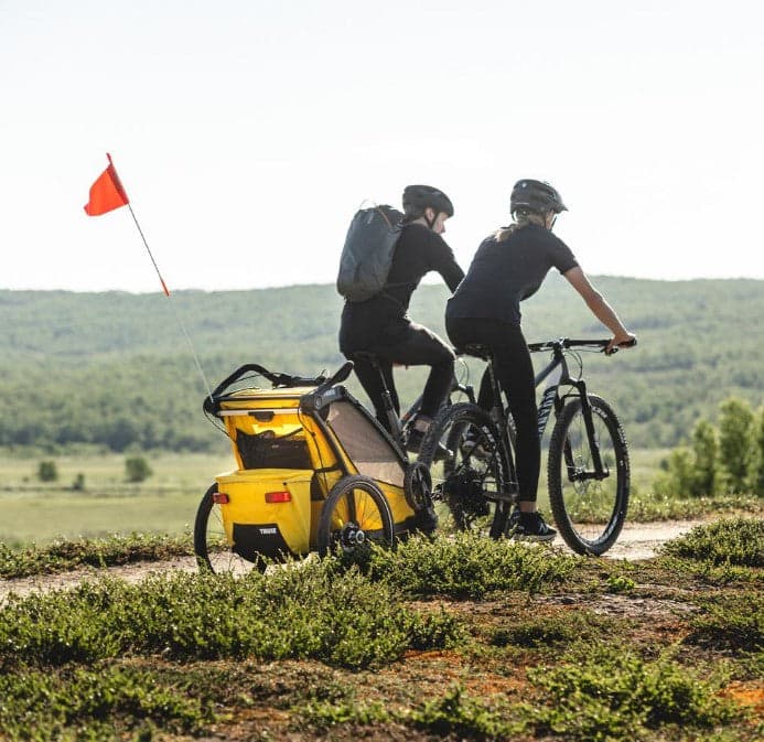 Reboque Desportivo para Criança Thule Chariot Sport 2 Lugares