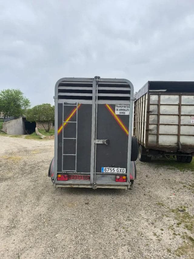 Reboque para Transporte de Animais Vivos e Ovinos - Eixo Duplo