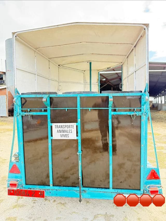 Reboque Van para 2 Cavalos Reforçado com Travão de Inércia