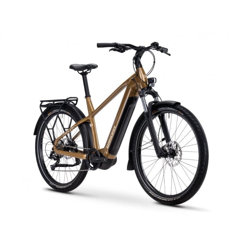 Vélo électrique Winora Yucatan X8 2024 - Marron