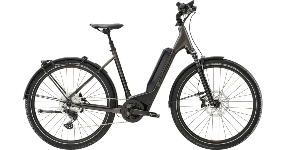 Vélo électrique DIAMANT 138 Wave 800Wh