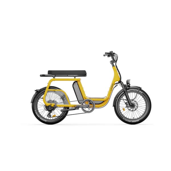 Elwing Ritmic Duo vélo électrique cargo biplace - Gold , Standard : 48 V 14,4 Ah (691 Wh)