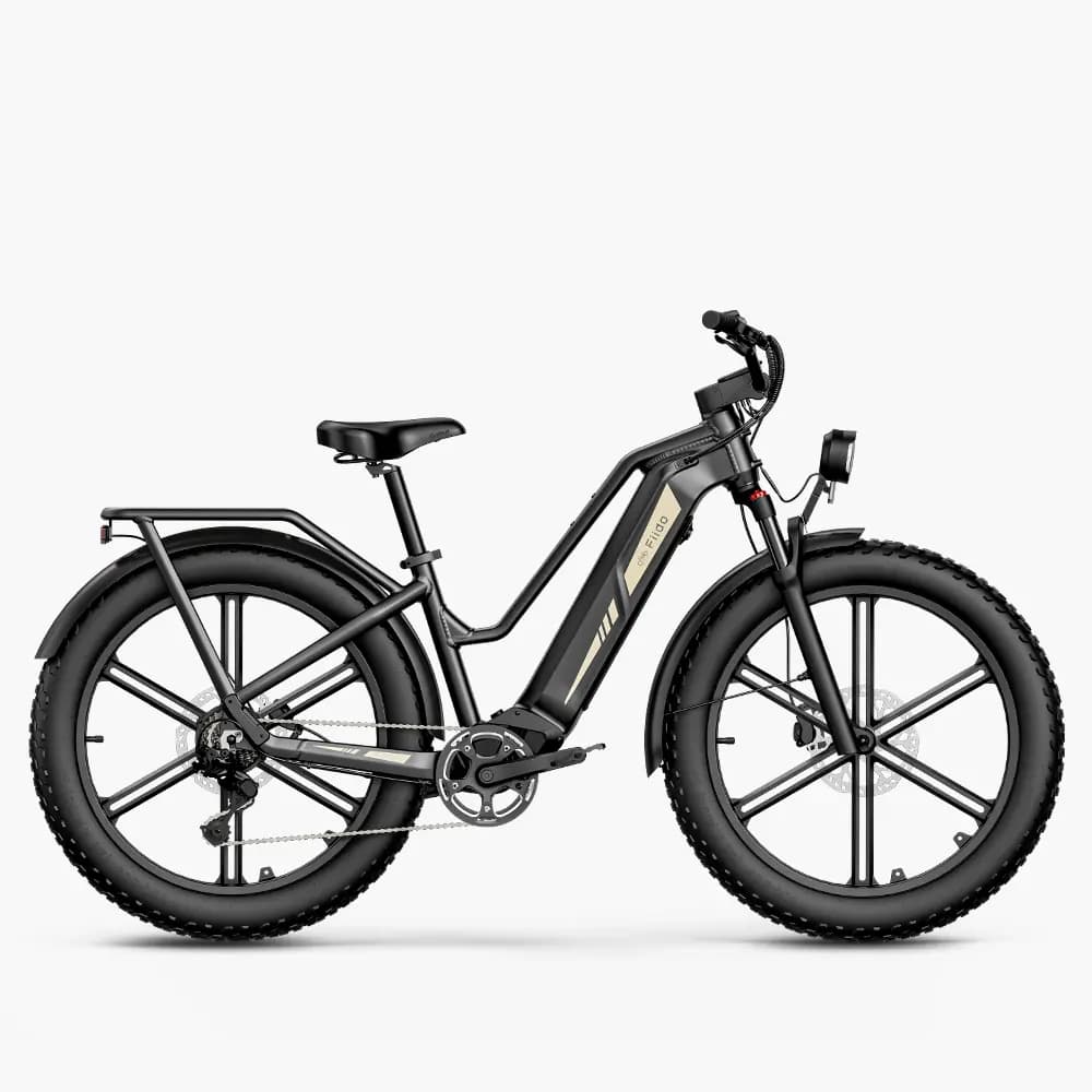 Fiido Titan Fat Tire Touring Vélo électrique - Extender (347km)