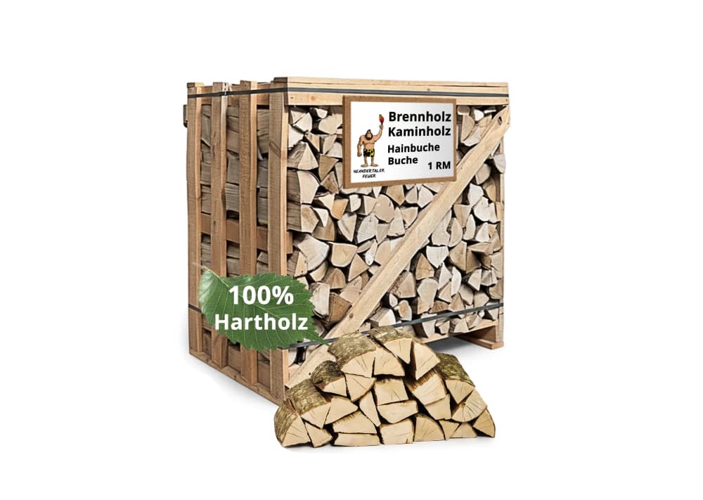 Brennholz Hainbuche 2RM Box 33 cm – Sauber