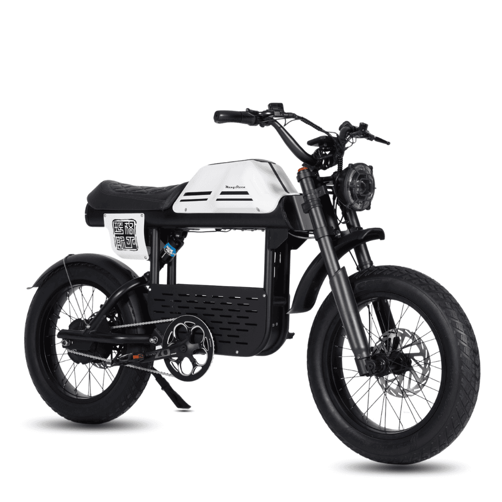 Vélo électrique FatBike Mangosteen FT-01 - XL