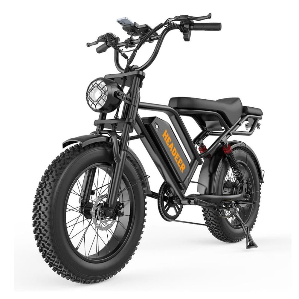 Elektrofahrrad für Erwachsene BK20, Akku 48 V 20 Ah, City-Elektrofahrrad, All-Terrain-E-Bike mit 20-Zoll-Fettreifen, Schutzklasse IPX4