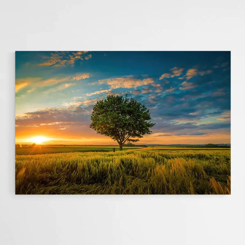 Tableau Arbre Coucher de Soleil Tableau monté sur châssis 80x120
