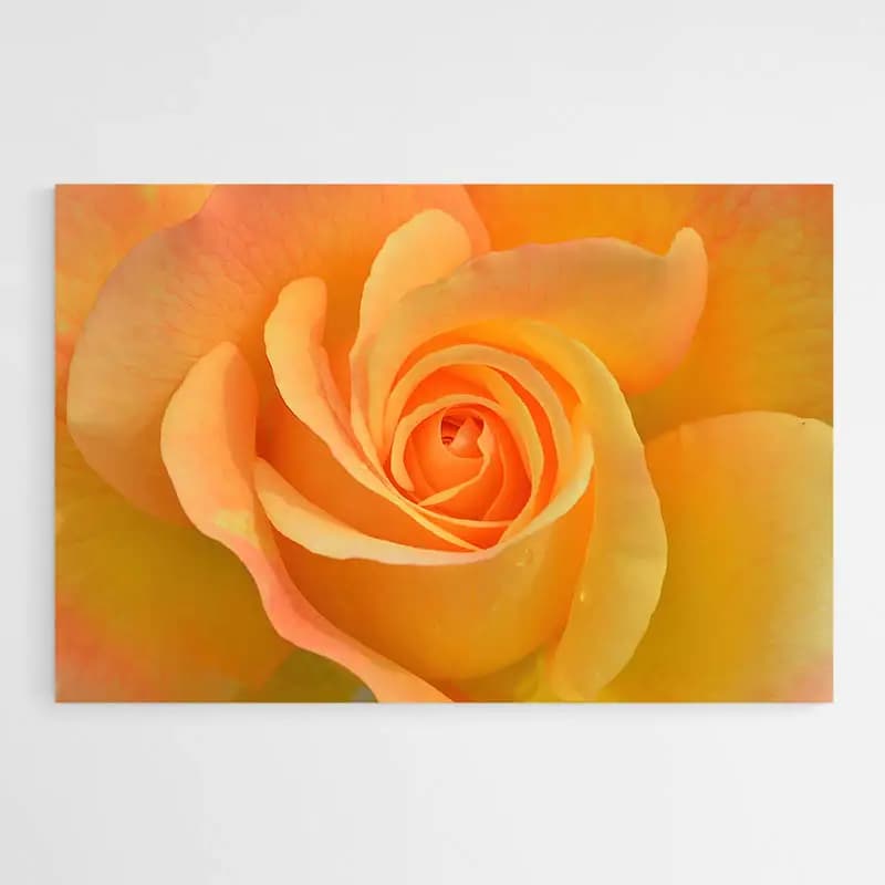 Tableau Fleur Orange Poster sur papier photo 80x120