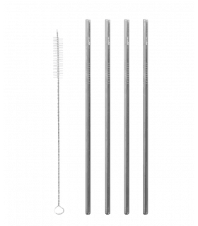 Lot de 4 Pailles & Goupillon en Inox
