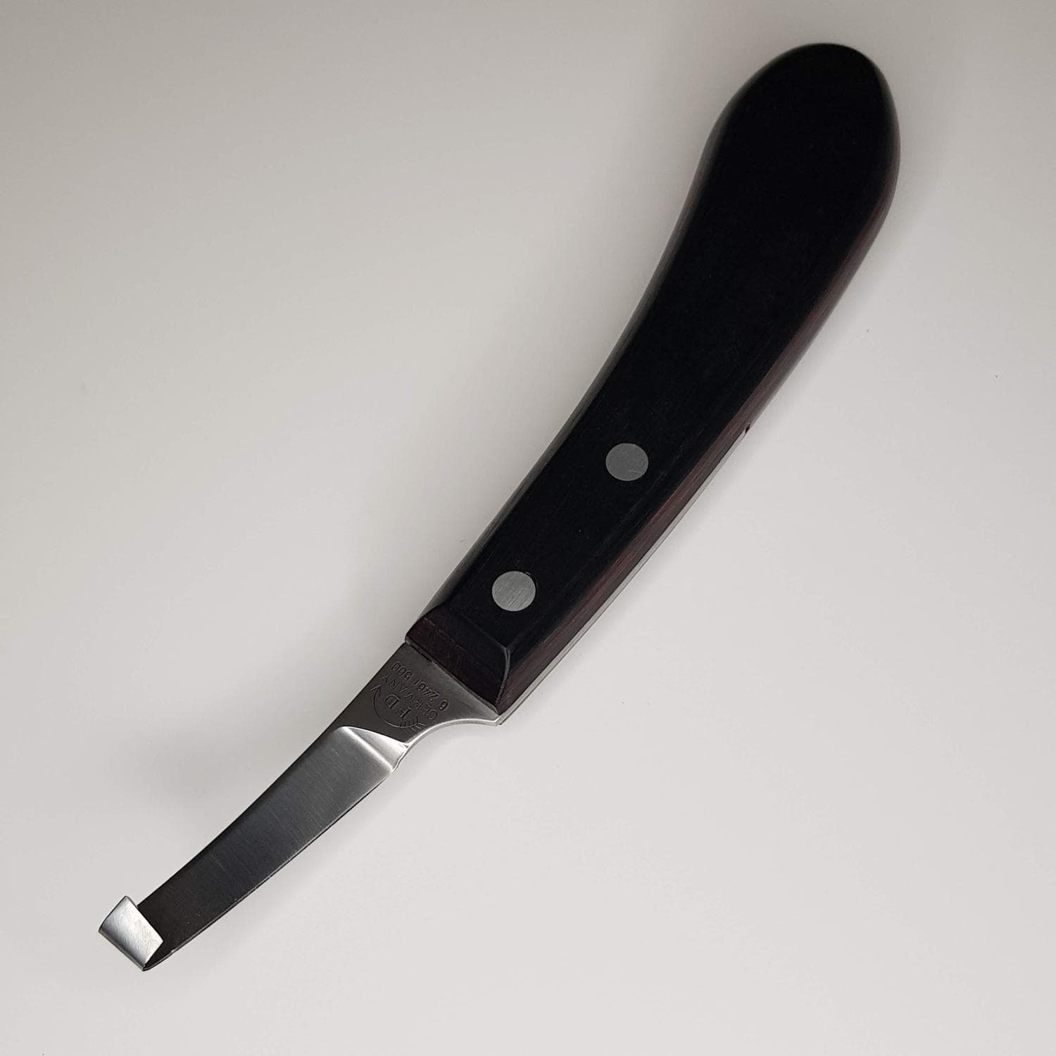 RENETTE DICK CHAMPION GAUCHE