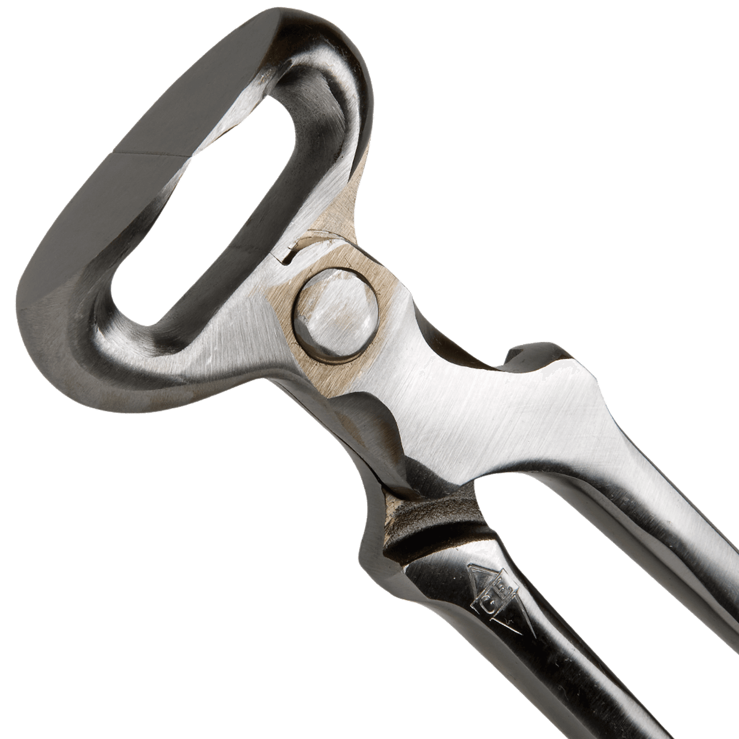 PINCE A CORNE GE 12"