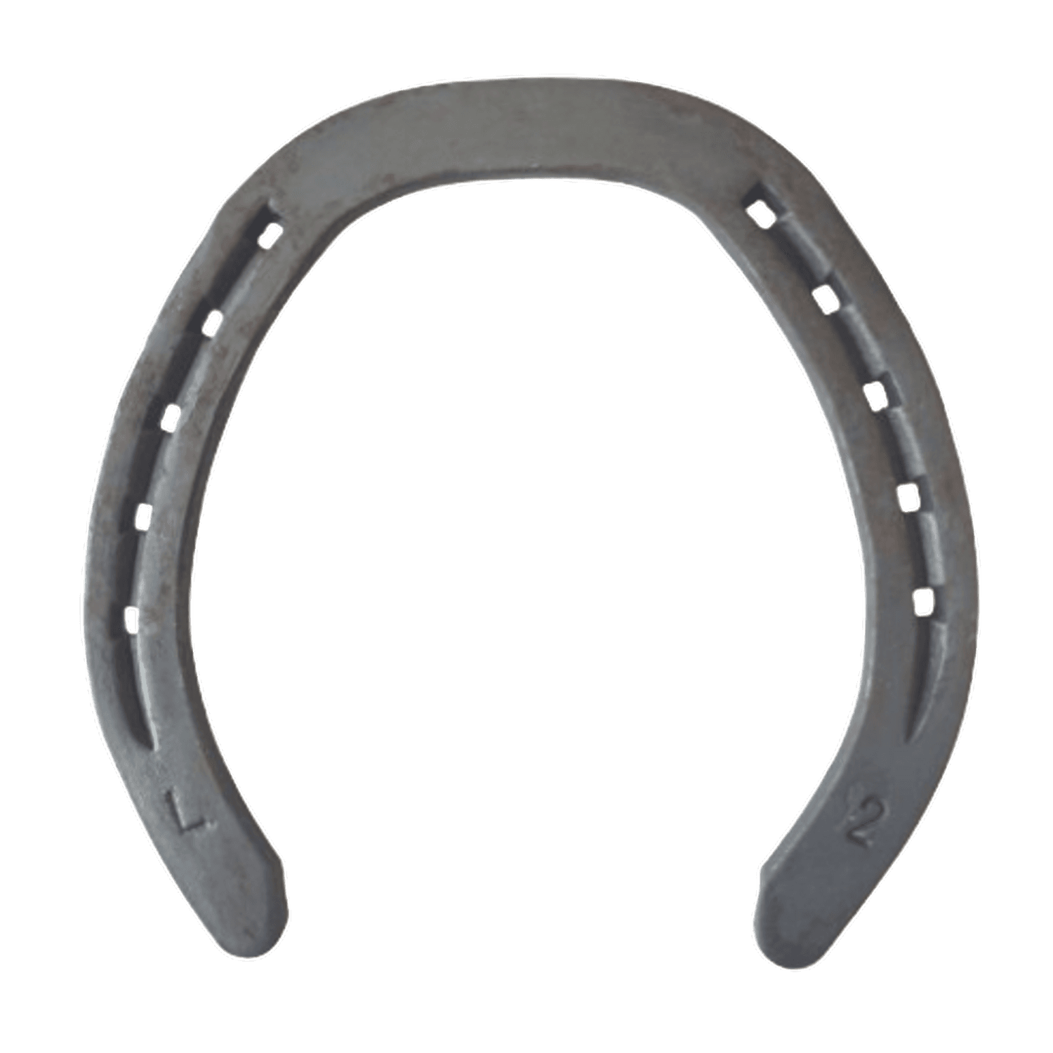 Fer Acier Plat Trot 16x5 Pos 2P Redijan N°1