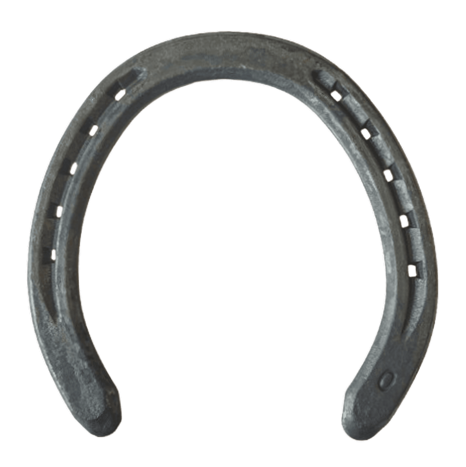 Fer Acier Plat Trot 16x5 Anti Atteinte SSP Redijan N°1