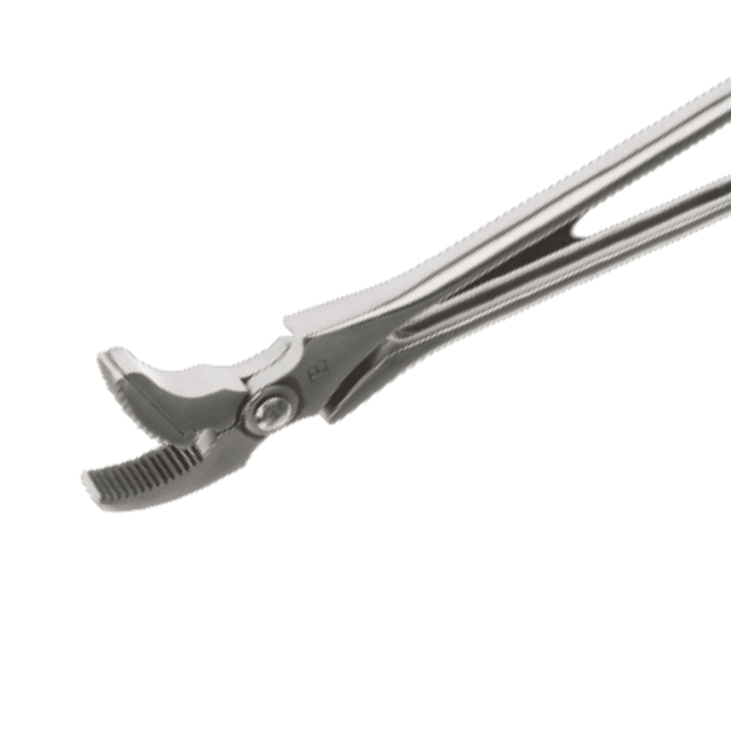 PINCE A RIVER JIM BLURTON COURBE