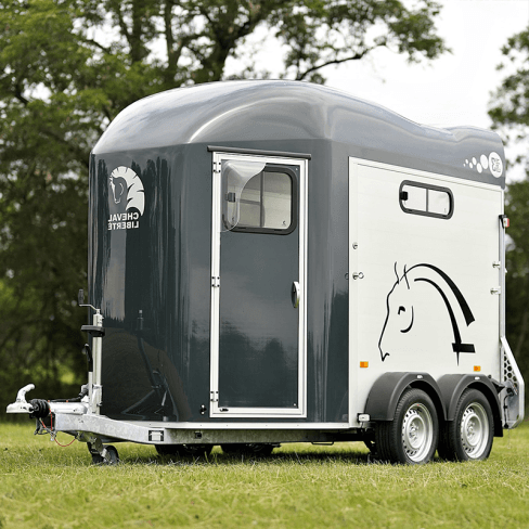 Van Gold 3 Cheval Liberté