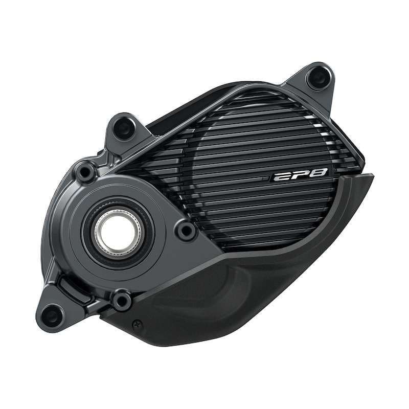 Torrent INT E50 2021 - L