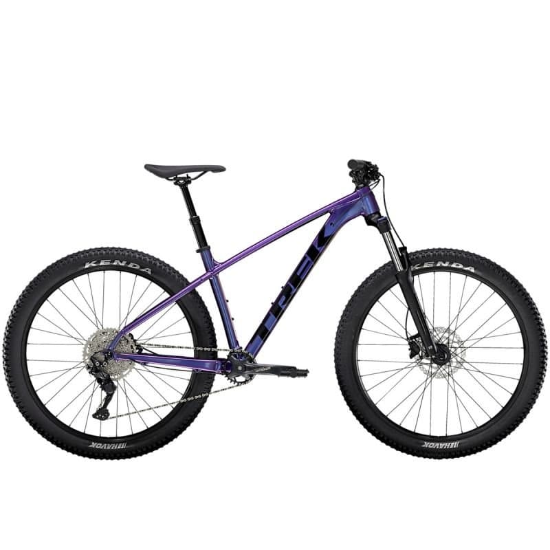 Roscoe 6 2021 - Violet - XL