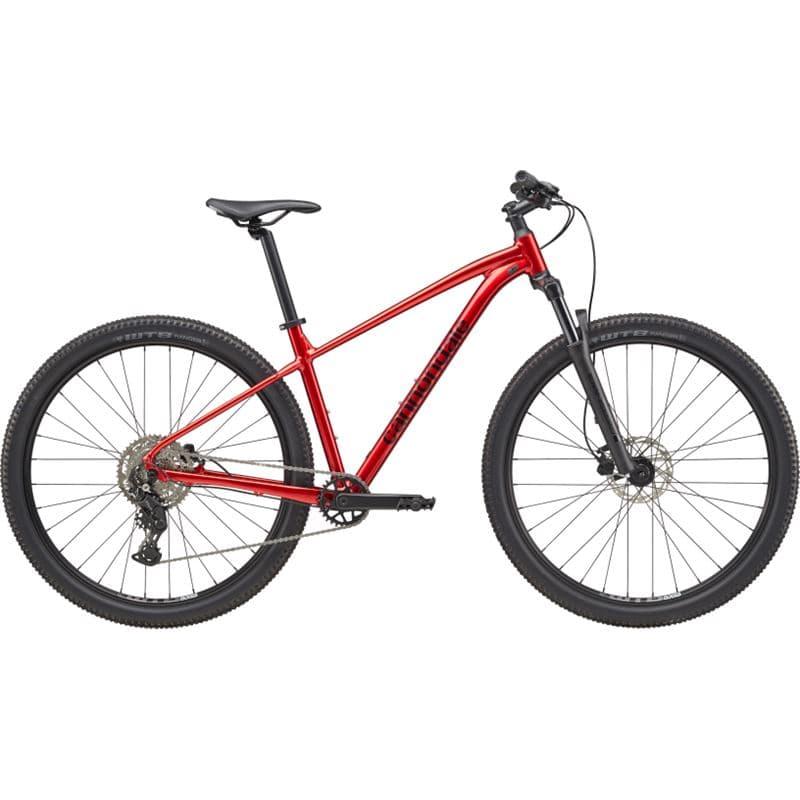SENTIER CANNONDALE 2 29 - S