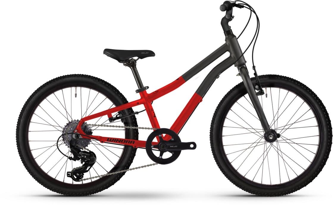 Winora Rage 20 – 20 Zoll – Diamant – 2024