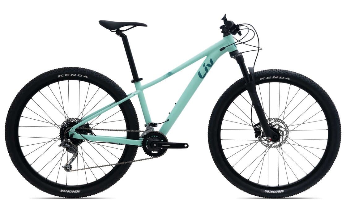 Liv Tempt 2 – 29 Zoll – Diamant – 2024 - XL