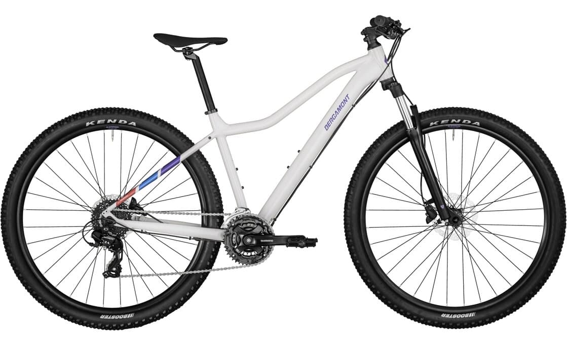 Bergamont Revox 3 FMN – 29 Zoll – Diamant – 2024 - M