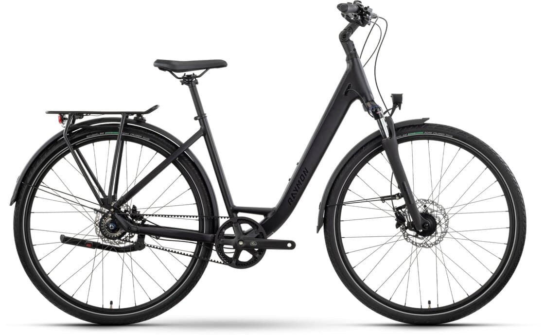 Raymon Zayn Ultra – 28 Zoll – Tiefeinsteiger – 2025 - XL