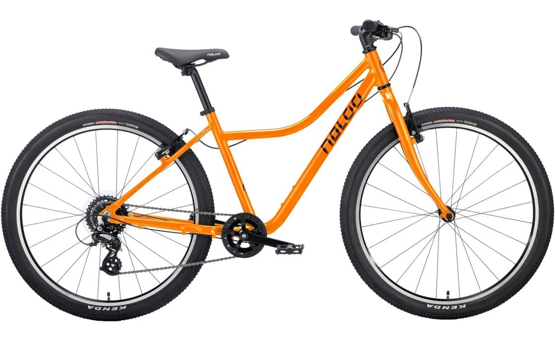 Naloo Chameleon 26″ MK2 – 26 Zoll – Diamant – 2023