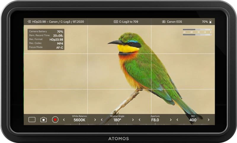 ATOMOS MONITOR SHINOBI II