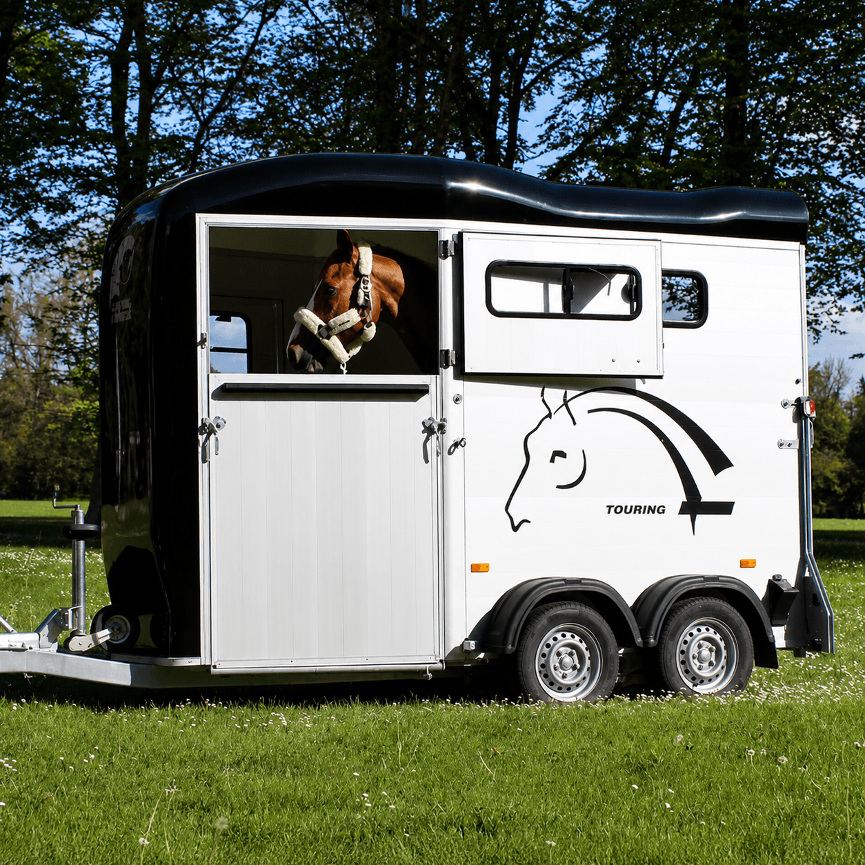 Cheval Liberté Touring One Remolque para caballos para 1,5 Pferde