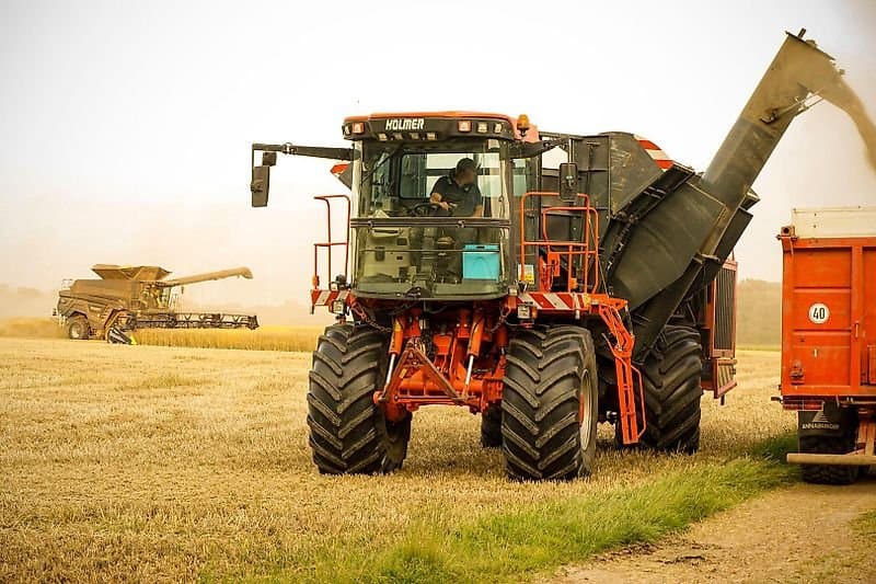 Holmer Kartoffelüberlader, Getreideüberlader Terra Dos T2