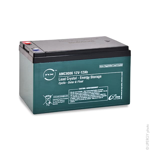 NX - Batterie lead crystal 6-CNFJ-12 12V 12Ah M5-F