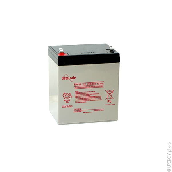 Enersys - Batterie onduleur (UPS) DataSafe NPX25-12 12V 5Ah F6.35