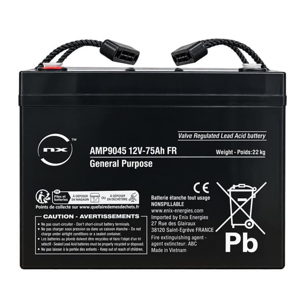 NX - Batterie plomb AGM NX 75-12 General Purpose FR 12V 75Ah M6-F