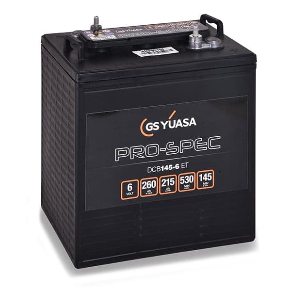 Yuasa - Batterie traction YUASA PRO-SPEC DCB145-6 6V 260Ah M8-V