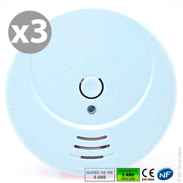 Siter - Lot de 3 Détecteurs de fumée NF SITER GS506