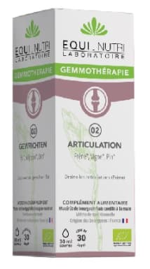 Complexe 02 articulations