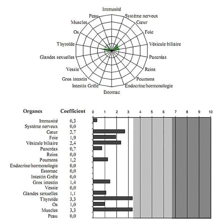 Bilan organique et émotionnel