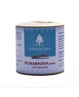 Punarnava racines 125 gélules
