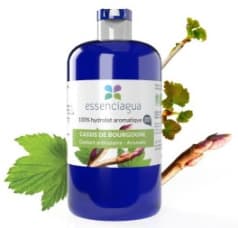 Hydrolat de cassis de Bourgogne bio 250 ml