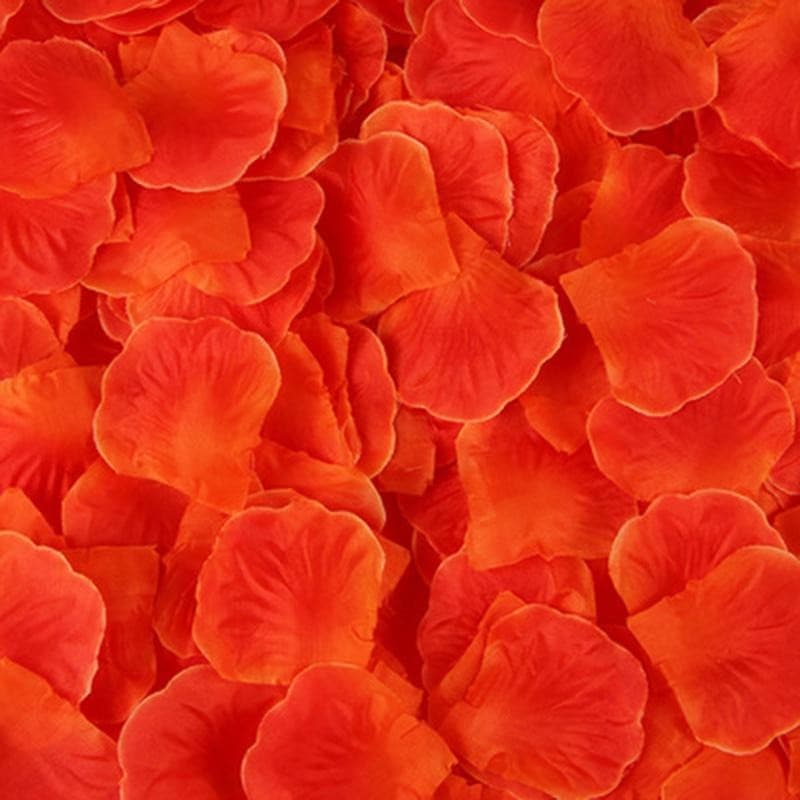 Coffret de 100 Pétales de Rose