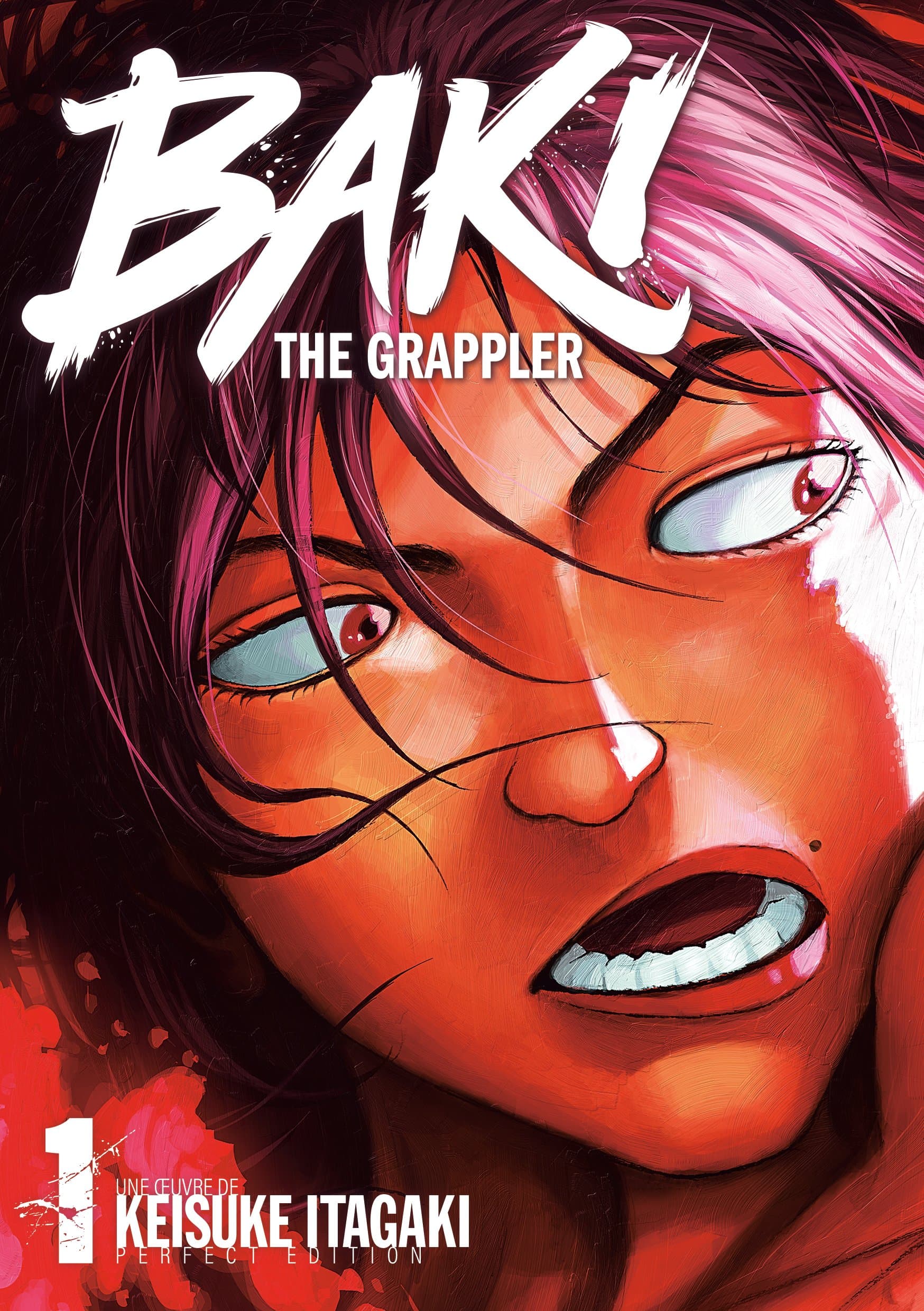 Baki the Grappler - Tome 1 - Perfect Edition - Livre (Manga)