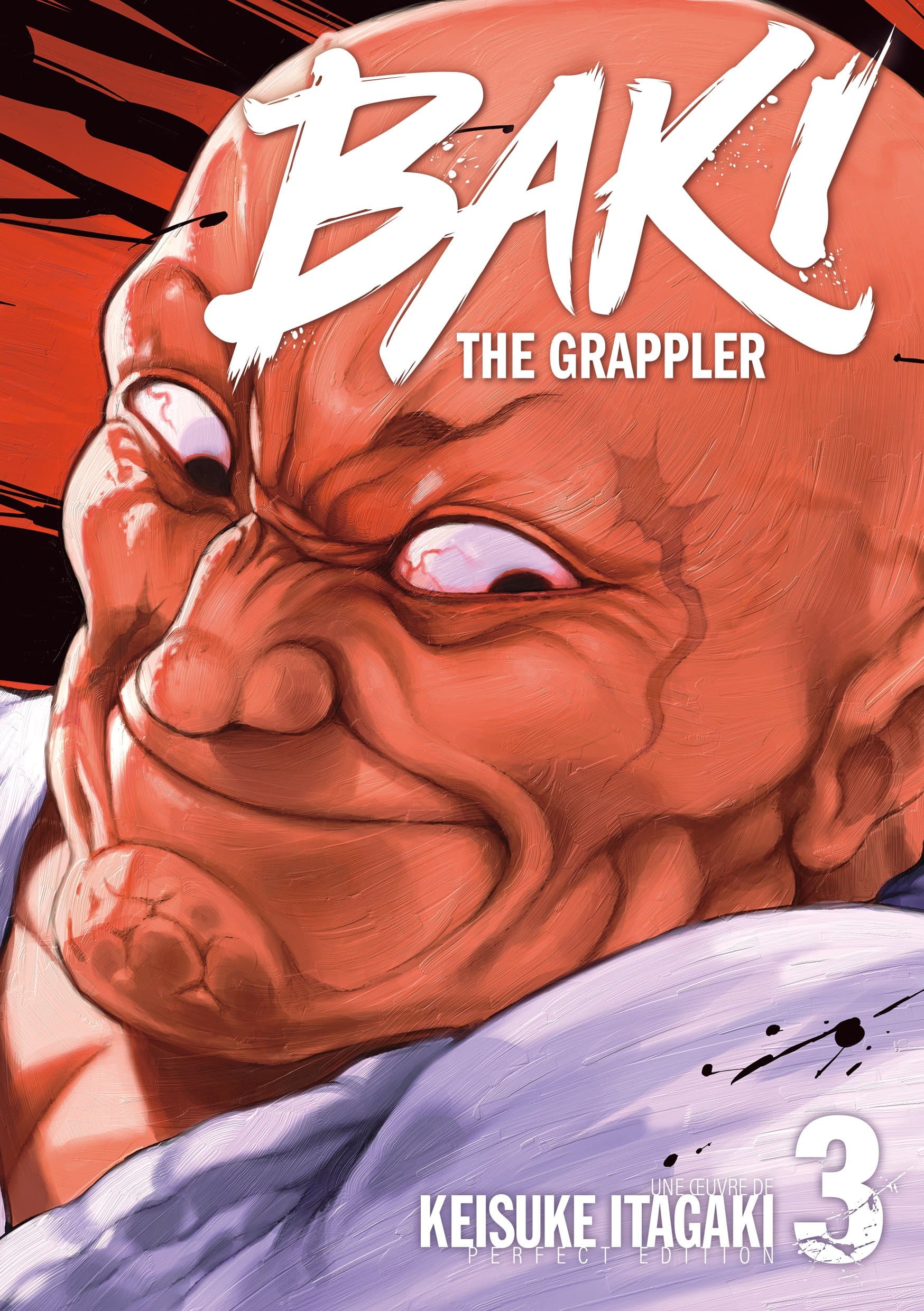 Baki the Grappler - Tome 3 - Perfect Edition - Livre (Manga)