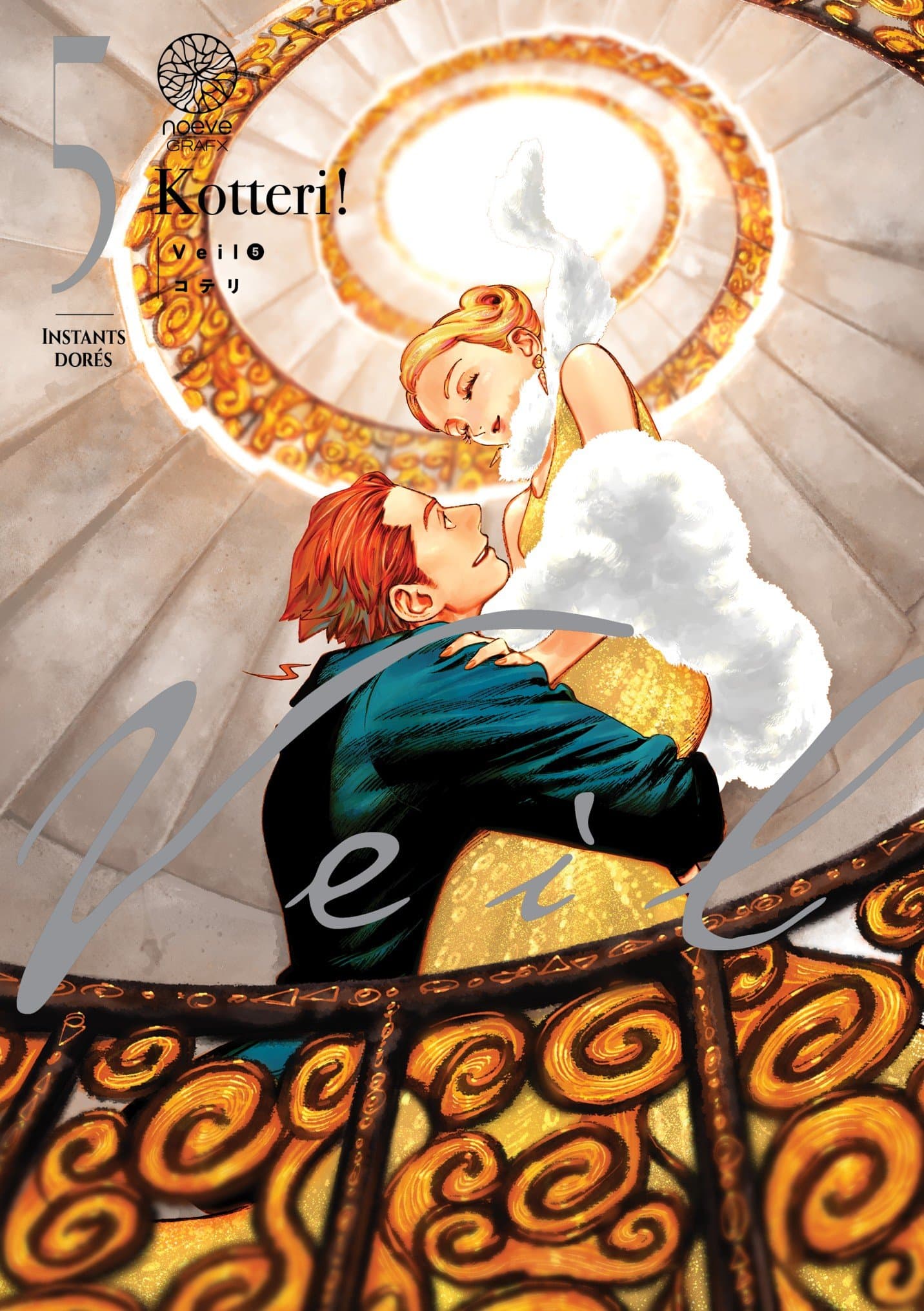 Veil - Tome 05 - Livre (Manga)