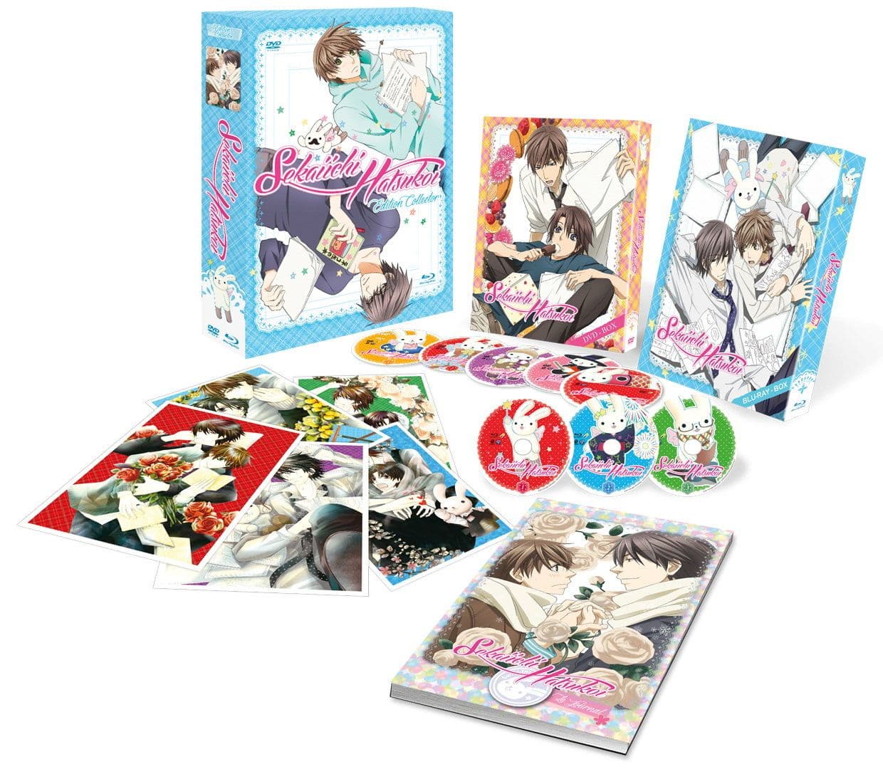 Sekaiichi Hatsukoi - Intégrale + 2 OAV - Collector - A4 Blu-Ray + DVD