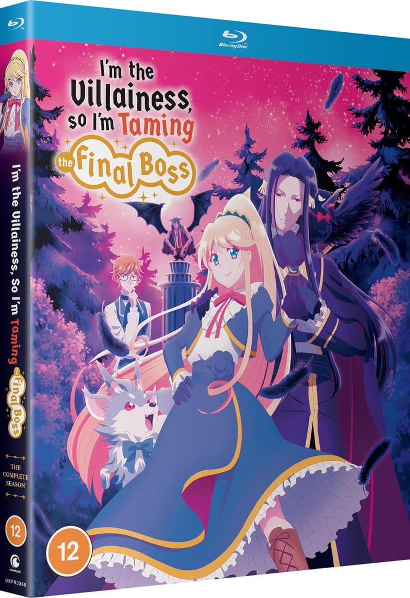 Si je suis la Vilaine, autant mater le Boss final - Intégrale Blu-ray
