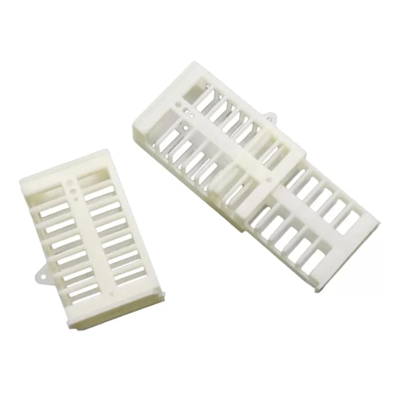 Cagette d'isolement extensible pour reine - pack de 30